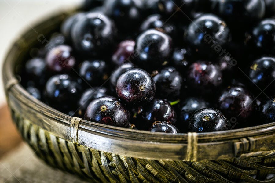 Jabuticabas pretas frescas em cesto de vime fruta brasileira nativa