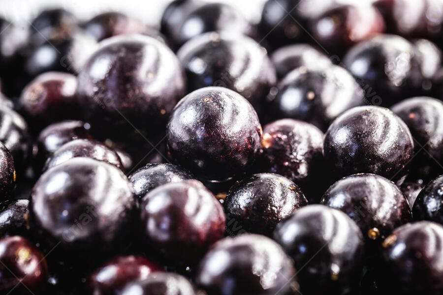 Jabuticabas frescas e maduras em close-up vibrante
