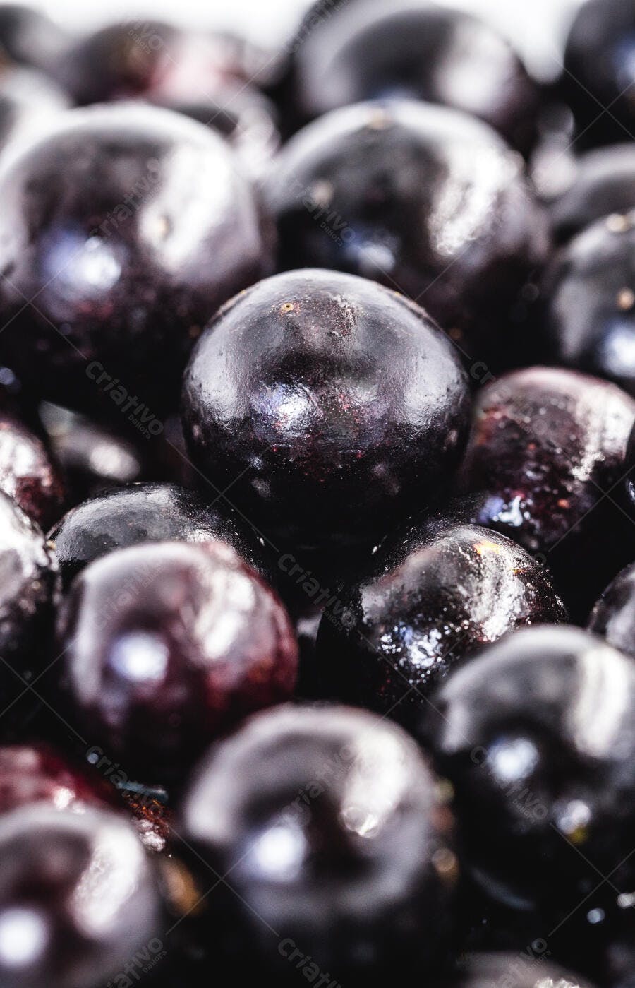 Jabuticabas frescas em close-up com gotas de água brilho vibrante