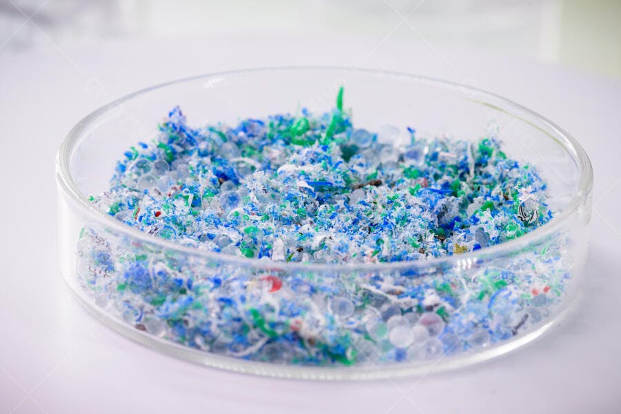 Plástico reciclado granulado azul e verde em placa de petri laboratório
