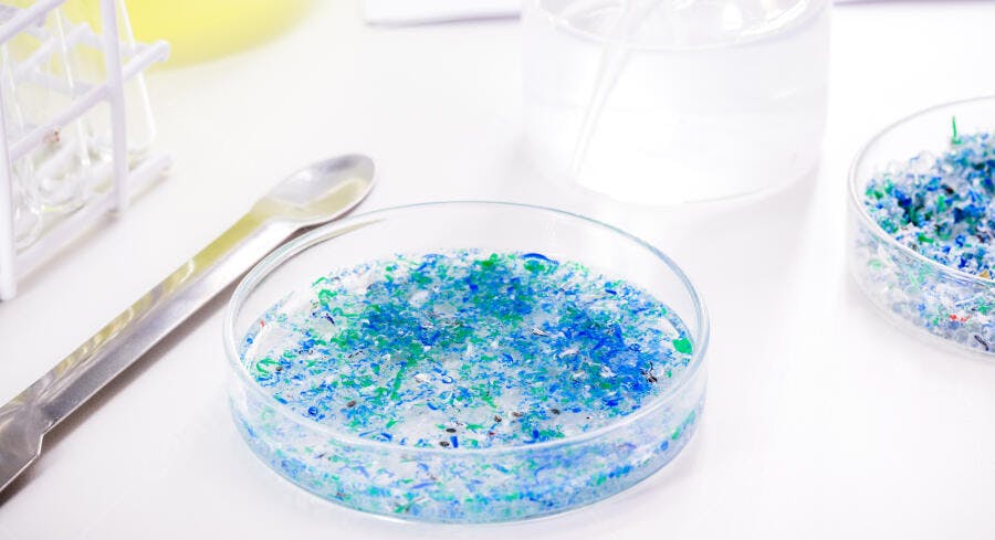 Microplásticos azul e verde em placa de petri laboratório científico