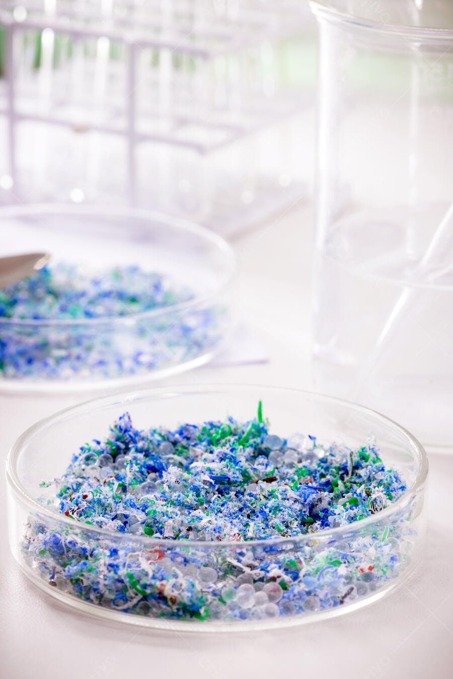 Flocos de plástico reciclado azul e verde em placa de petri laboratório