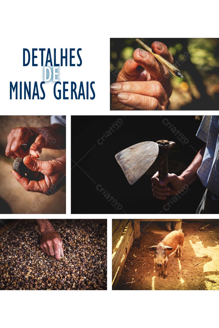 Detalhes da vida rural em Minas Gerais mãos de agricultores café palheiro enxada porco