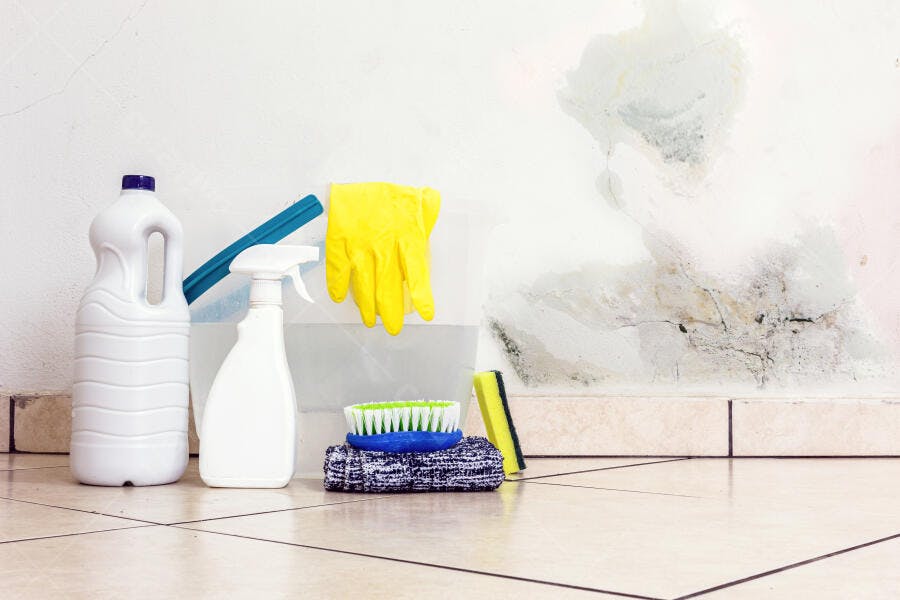 Produtos de limpeza e mofo na parede com azulejos bege