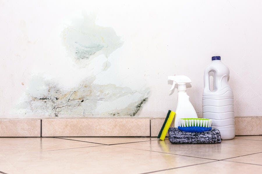 Parede branca com mofo preto e verde e produtos de limpeza para remoção