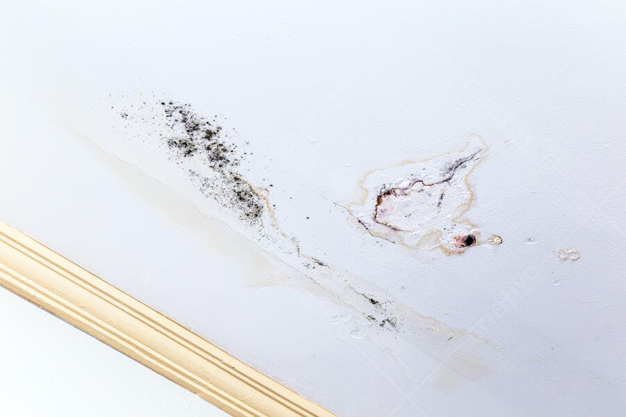 Teto branco com mofo e manchas de água causado por vazamento descascando