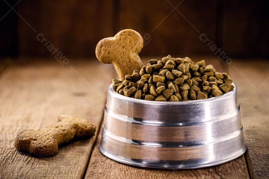 Tigela de ração para cachorro com biscoito de osso em madeira rústica