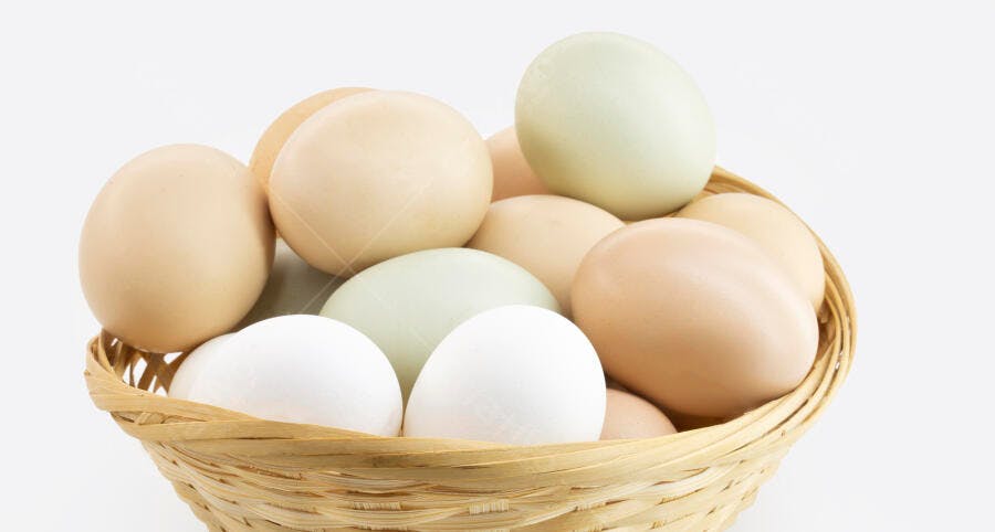 Ovos coloridos variados em cesta de palha rústica contra fundo branco