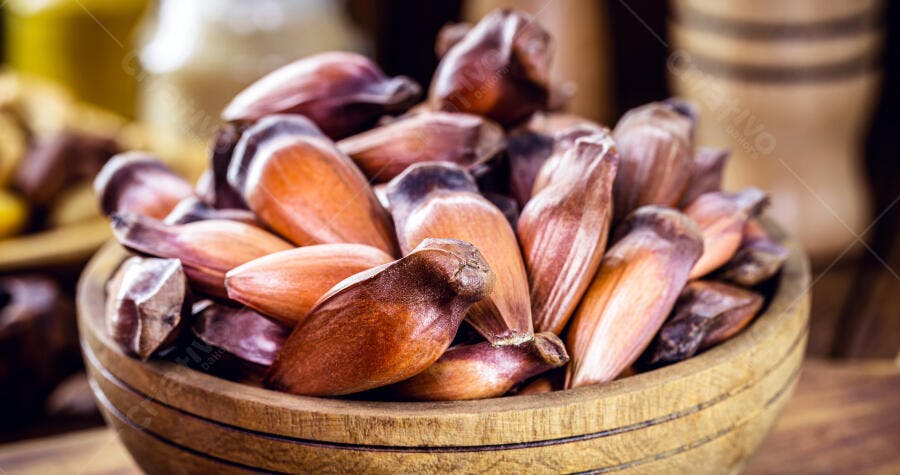 Pinhões frescos em tigela de madeira rústica alimento outonal brasileiro