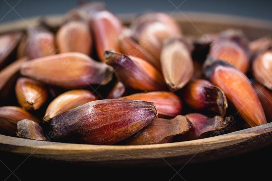Pinhões frescos alimento típico em tigela de madeira com tons marrons e avermelhados