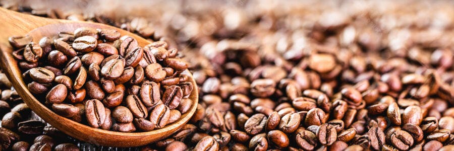 Grãos de café torrados em colher de pau sobre fundo de grãos marrons frescos