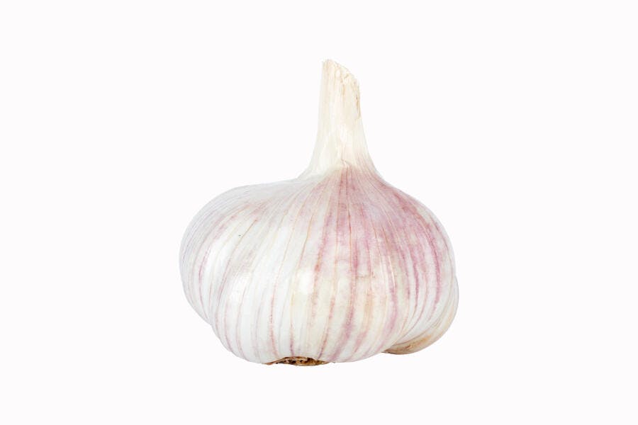 Alho bulbo fresco branco e roxo com listras isolado em fundo branco