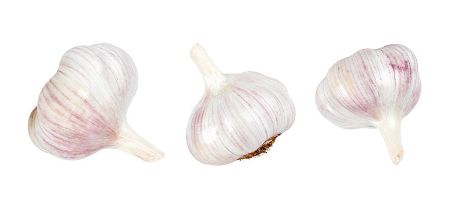 Bulbos de alho frescos com veias roxas em fundo branco isolado