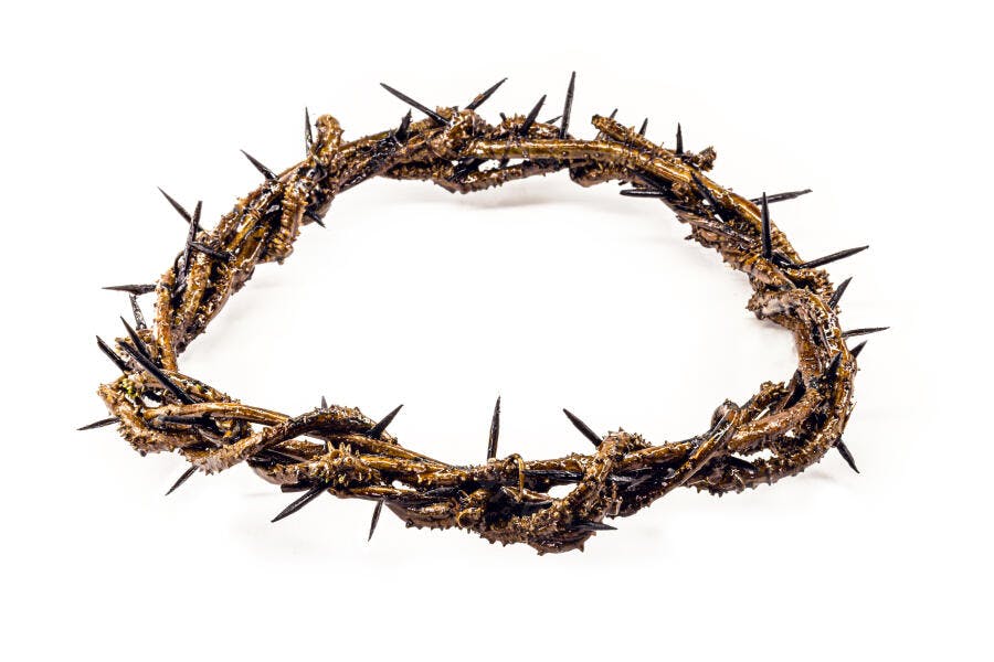 Coroa de espinhos marrom escura e preta símbolo religioso sobre fundo branco