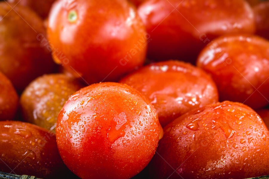 Tomates cereja frescos com gotas de água superfície brilhante