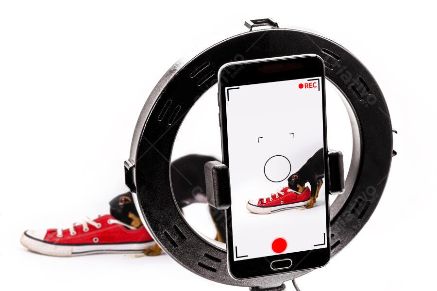 Filhote de cachorro preto brincando com tênis vermelho gravado por celular e ring light