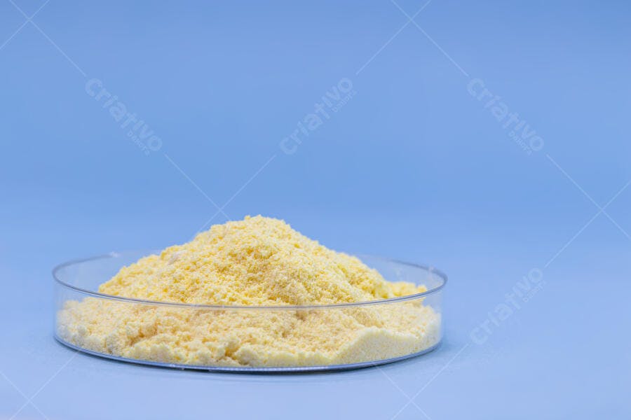 Pó químico amarelo granular em placa de Petri transparente sobre fundo azul claro