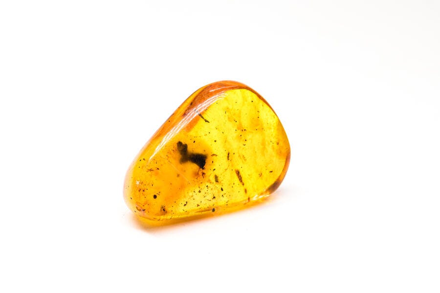 Âmbar natural amarelo dourado com inclusões escuras em fundo branco isolado