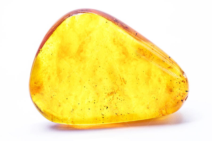 Âmbar natural polido amarelo dourado com inclusões em estúdio branco