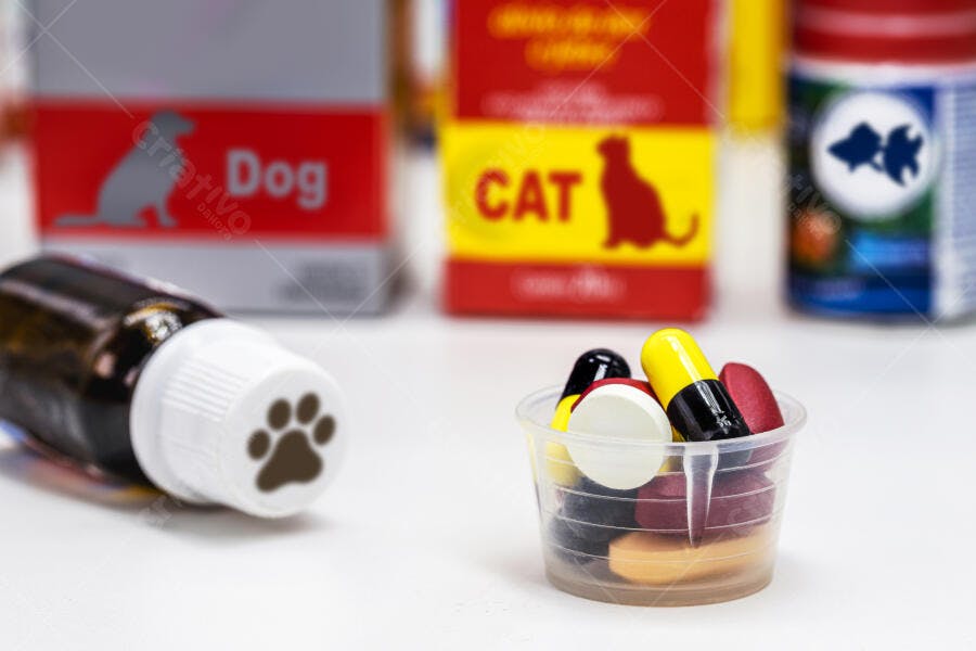 Medicamentos para pets pílulas e xarope para cães e gatos em fundo branco