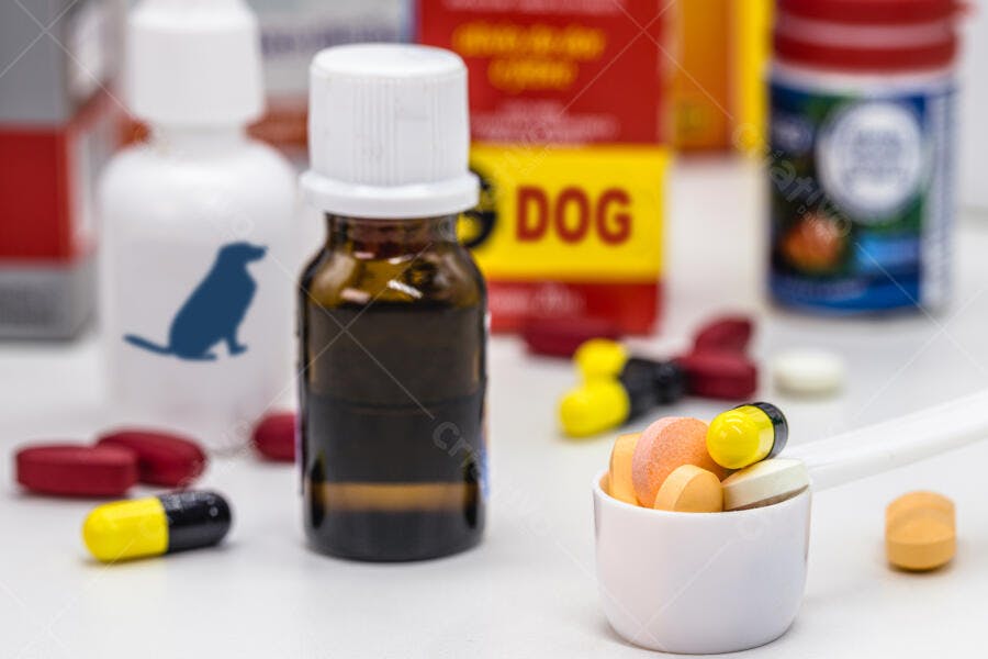 Medicamentos coloridos para cães em colher dosadora e frascos veterinários