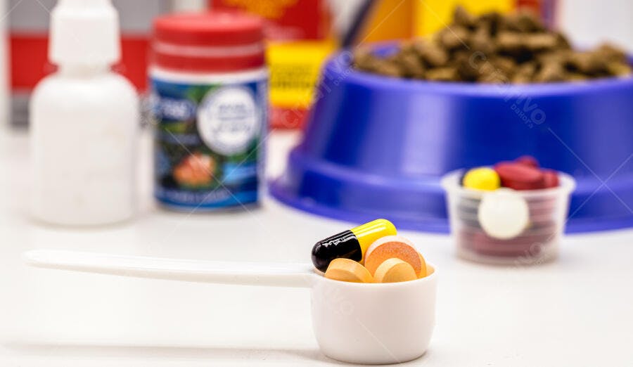 Medicamentos e suplementos para animais em colher dosadora cuidados veterinários