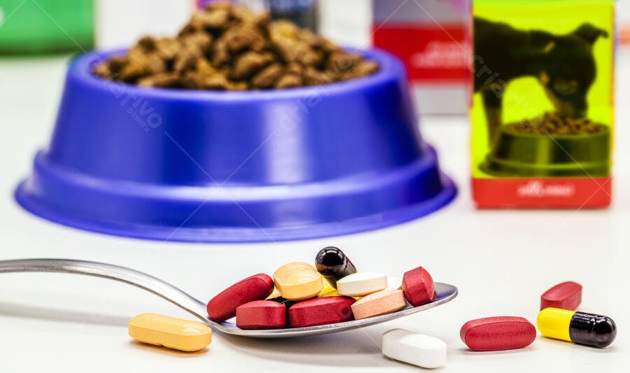 Pílulas e vitaminas coloridas em colher com ração de cachorro no fundo