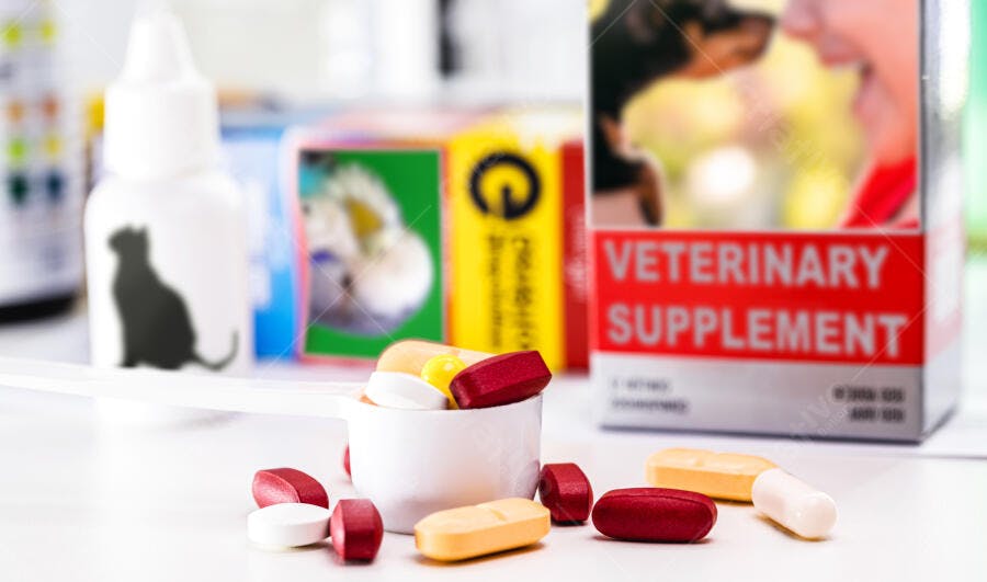 Suplementos veterinários para gatos e cães com comprimidos coloridos