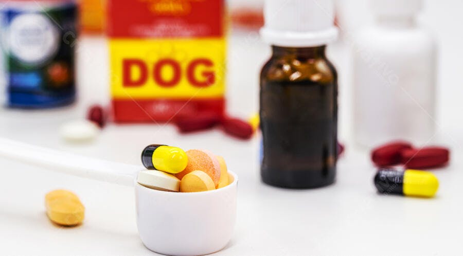 Pílulas e cápsulas coloridas para saúde de cães em dosador