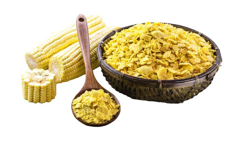 Flocos de milho amarelos em tigela e colher com espigas frescas