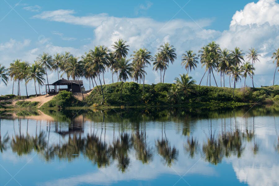 Paisagem tropical com coqueiros e cabana refletidos na lagoa azul