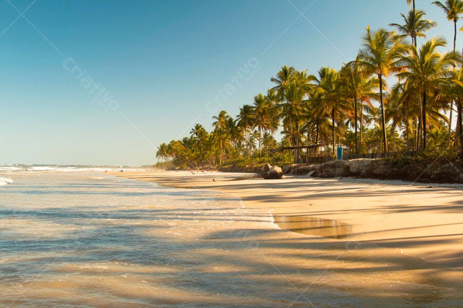 Praia tropical com coqueiros e mar azul em dia ensolarado