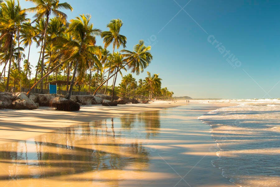 Praia tropical com coqueiros e areia dourada ao entardecer