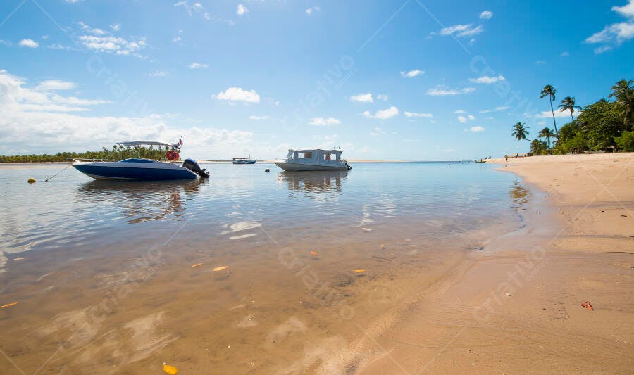Barcos na praia tropical em águas rasas com céu azul e coqueiros