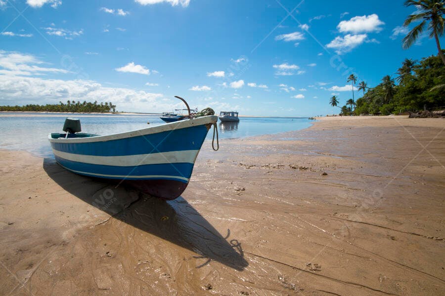 Barco de madeira azul e branco na praia tropical ensolarada