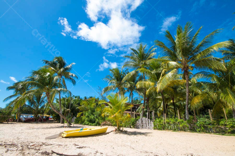 Praia tropical com coqueiros e caiaque amarelo sob céu azul ensolarado