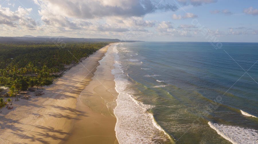 Litoral tropical com praia de areia dourada e coqueiros exuberantes vista aérea