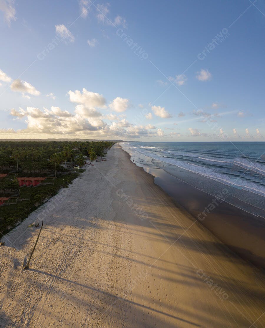 Praia tropical longa faixa de areia dourada oceano azul coqueiros amanhecer