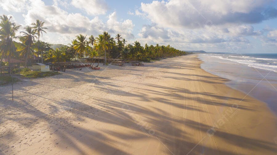 Praia tropical com coqueiros extensa e mar azul ao amanhecer