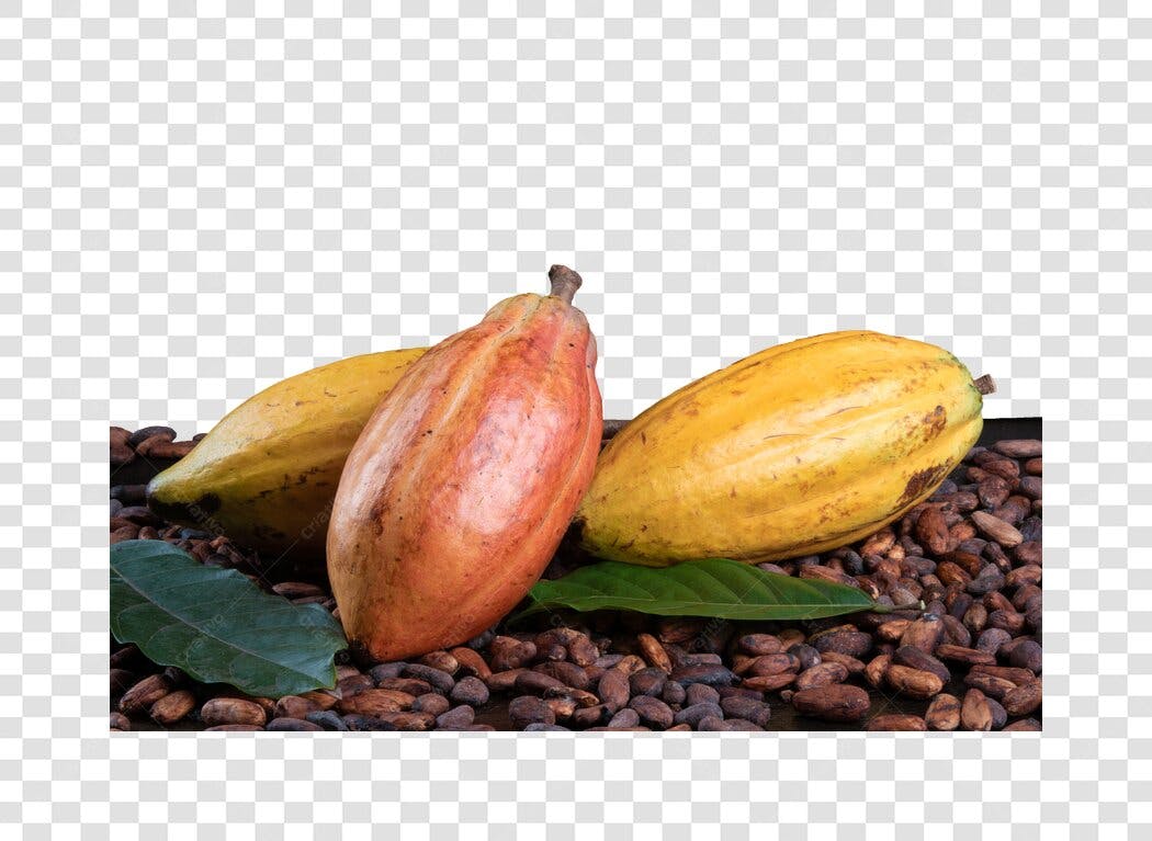 Frutas e Grãos de Cacau para Alimentos PNG com fundo transparente
