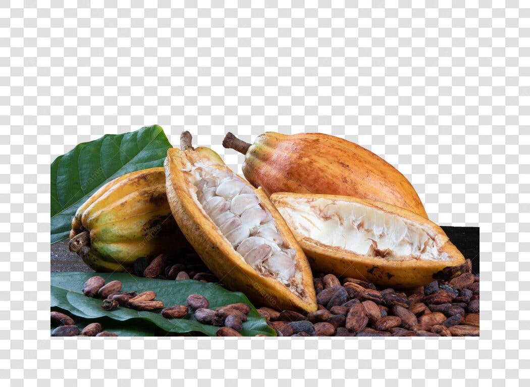 Imagem de Cacau Frutos Amarelos e Sementes Frescas PNG com fundo transparente