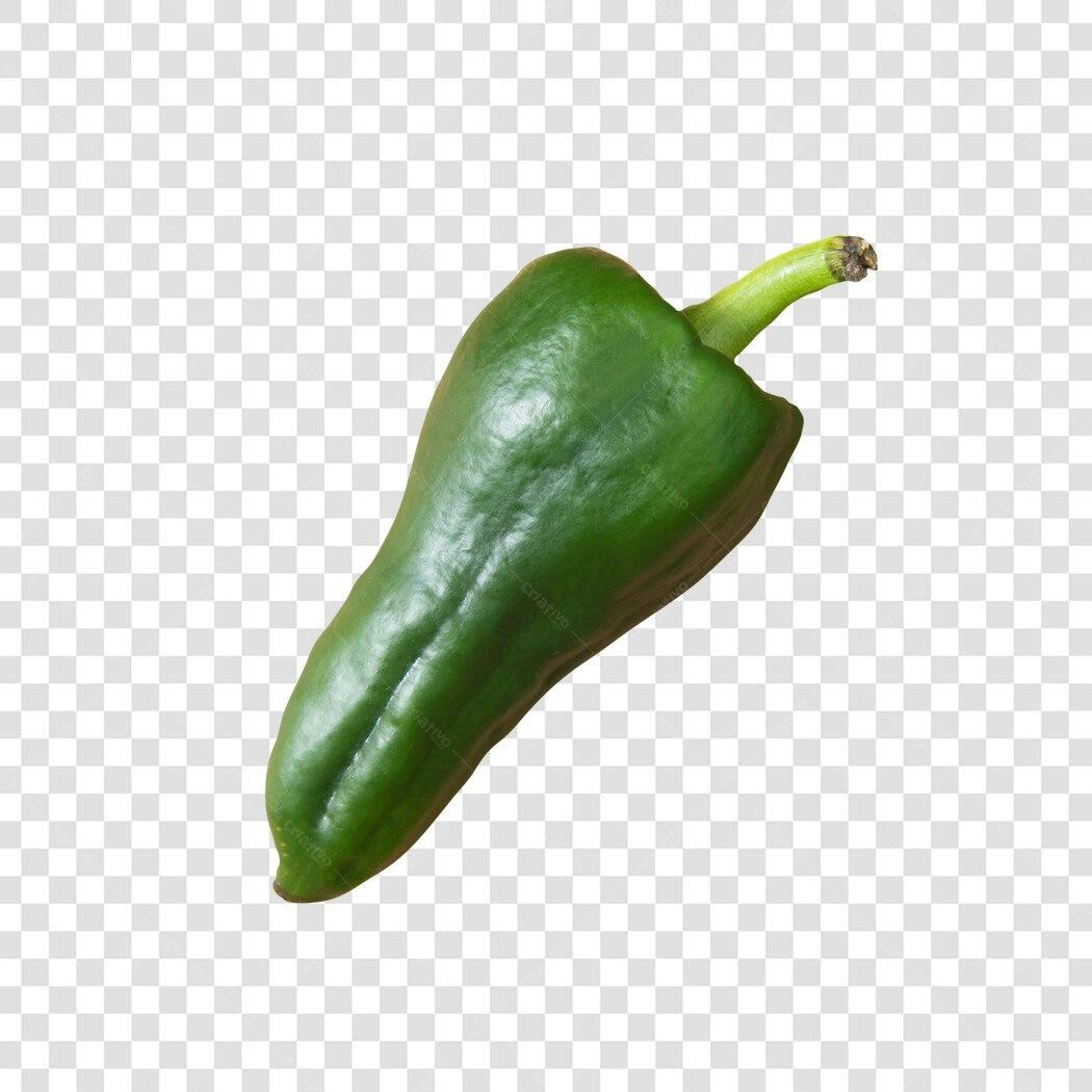 Elemento Design Pimentão Verde Fresco PNG com fundo transparente