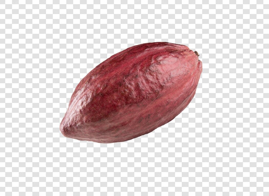 Fruto de Cacau Marrom Avermelhado para Design PNG com fundo transparente