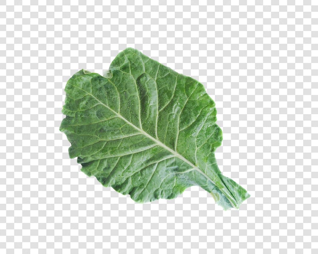 Elemento gráfico folha verde escura com gotas d'água PNG com fundo transparente