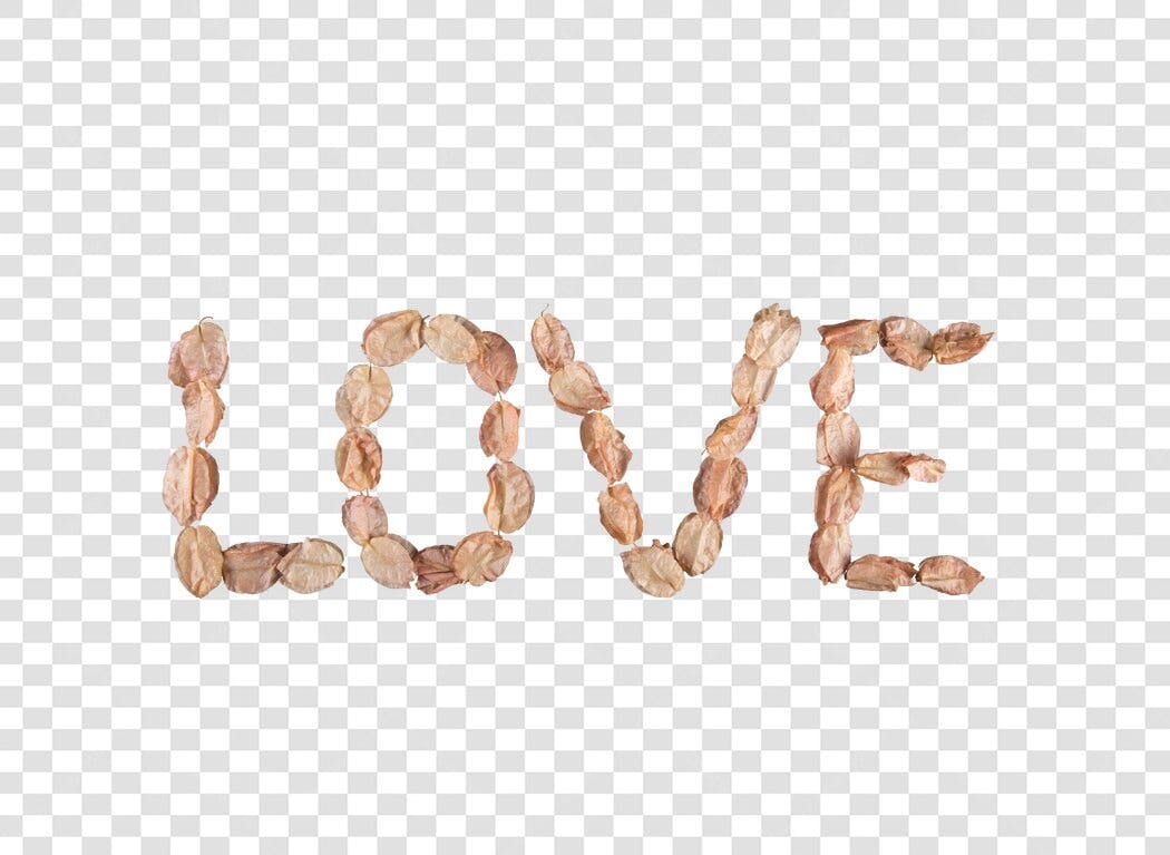 Texto decorativo Palavra Love folhas secas Dia dos Namorados PNG com fundo transparente