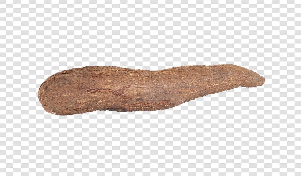 Elemento de design Mandioca Yuca Marrom PNG com fundo transparente