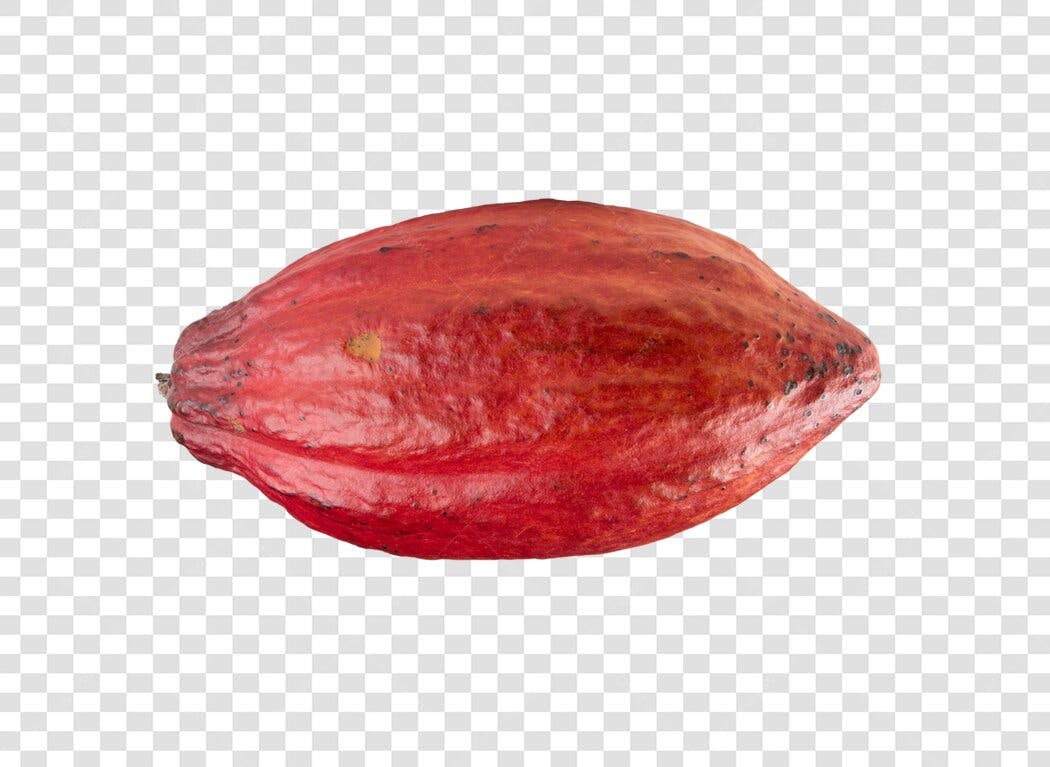 Fruto de Cacau Madura Vermelha PNG com fundo transparente