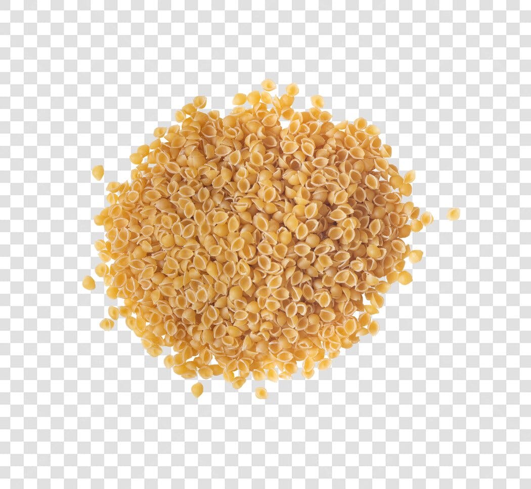 Elemento Gráfico Macarrão Conchinha para Receitas Culinárias PNG com fundo transparente