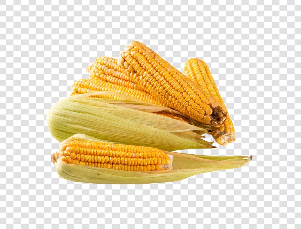 Imagem de espigas de milho fresco com palha verde PNG com fundo transparente