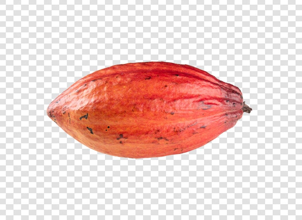 Cacau Fruta Vermelho para Design de Alimentos PNG com fundo transparente